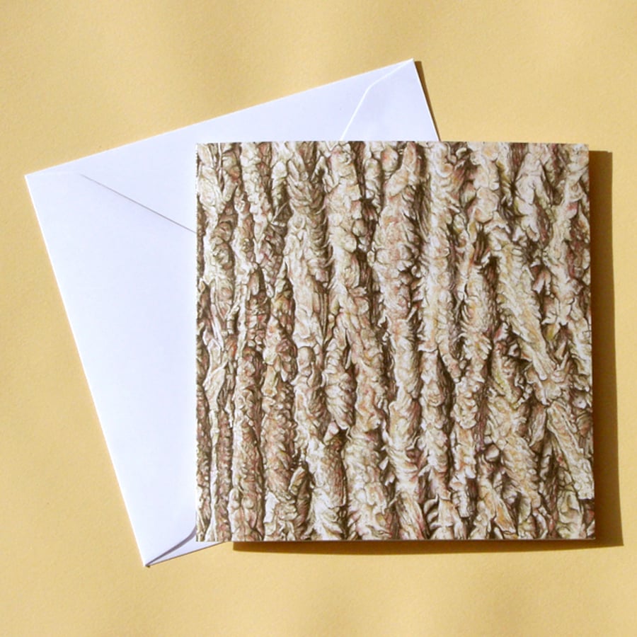 Greetings Card - Blank - Ash Tree Bark