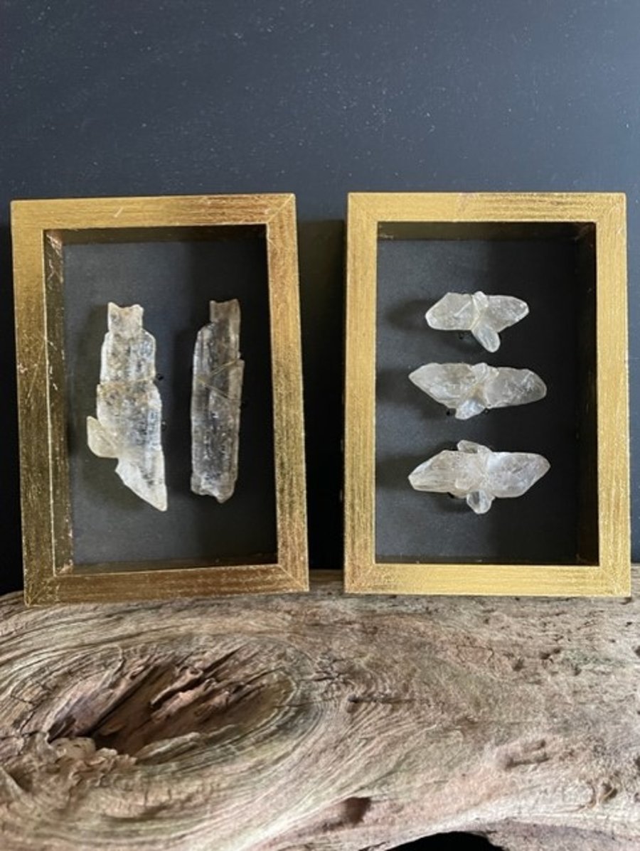 Natural Wall Art, Framed Selenite, Gold Leaf, Beach Crystal, Pair of frames.