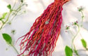 Wool Dreadlocks