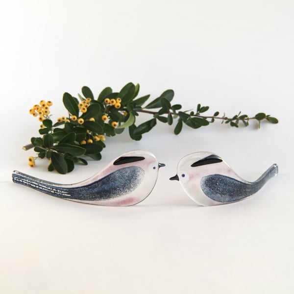 Standing long-tailed tit pair