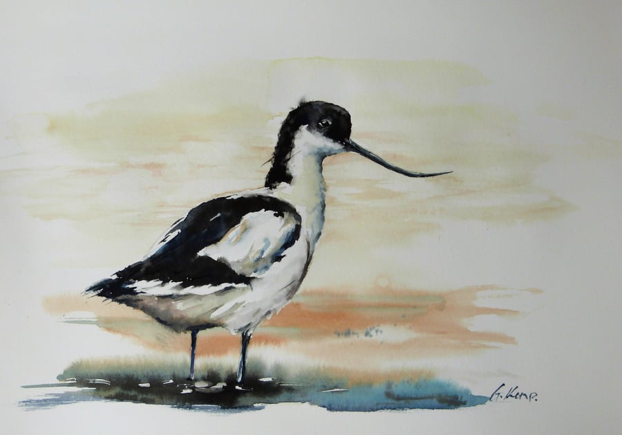Avocet, Original Watercolour Painting.