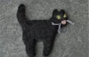 Felted Wool
