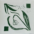 Simple Snowdrop
