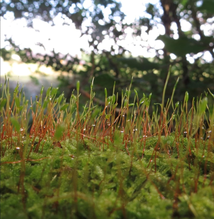 Vibrant Colourful Hand Dyed