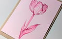 Floral Paintings