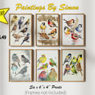 Charming Bird Collection 6"x4" Print on Matte Paper, Colorful Avian Watercolor 