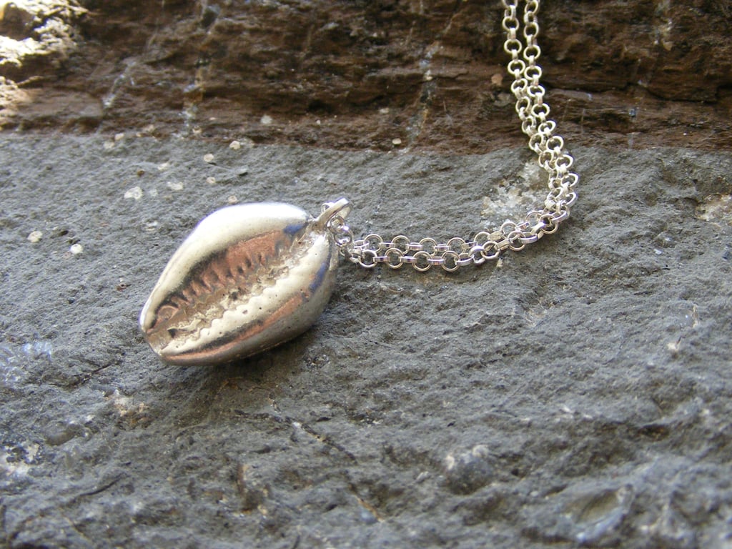 Sterling Silver Cowrie Shell Pendant and Chain 7.9g Fully Hallmarked