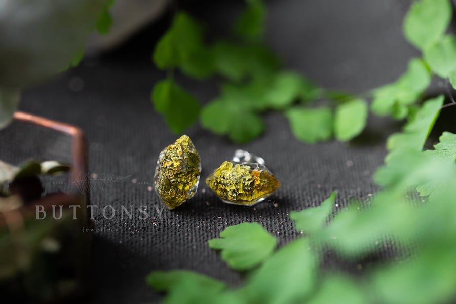 Lichen Earrings Herkimer Diamond Raw Crystals Botanical Jewellery Pressed Flower