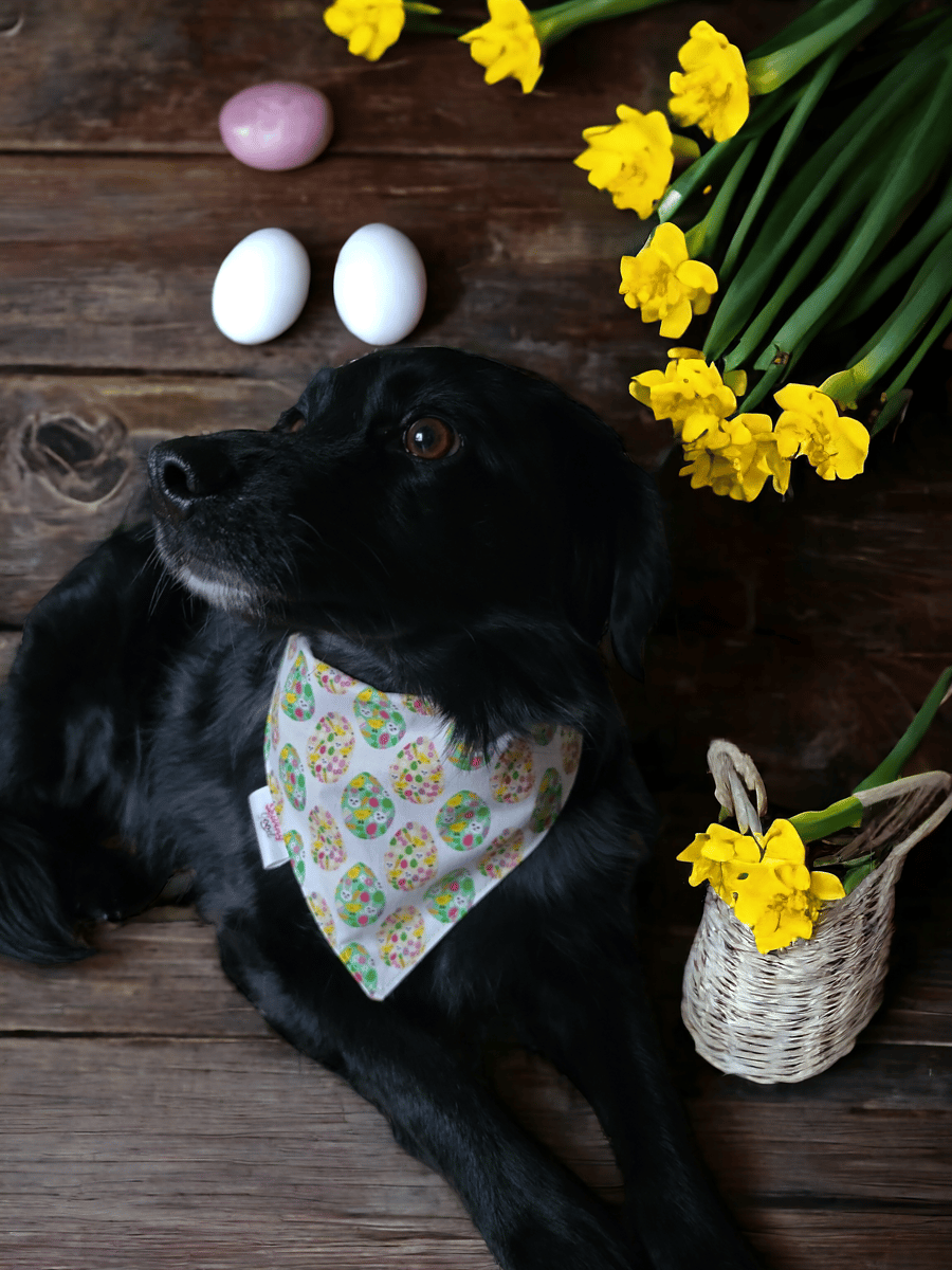 Cotton dog bandana Easter print size M