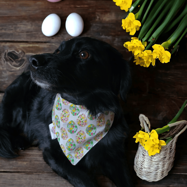 Cotton dog bandana Easter print size M