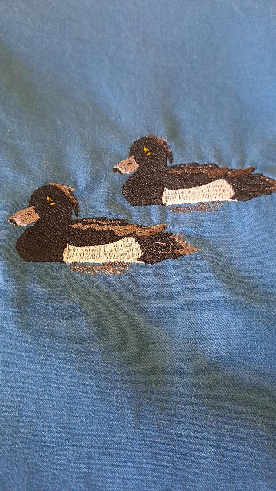 Padded pouch with zip