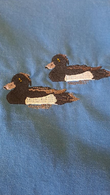 Padded pouch with zip