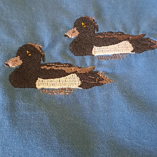 Padded pouch with zip