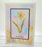 Daffodil Card - Easter, birthday, blank, springtime  - Image 6