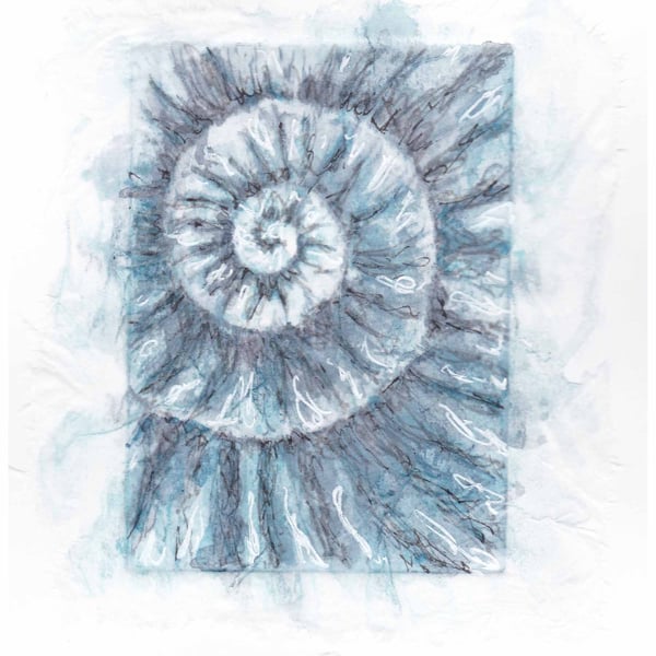 Etching no.97 of an ammonite fossil with mixed media in an edition of 100