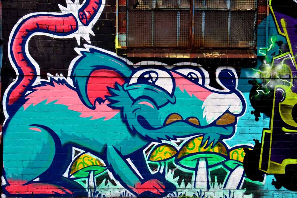 Street Art Graffiti Digbeth Birmingham UK Photograph Print