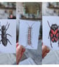 Set of 10 Insect ACEO Illustrations  - Image 2