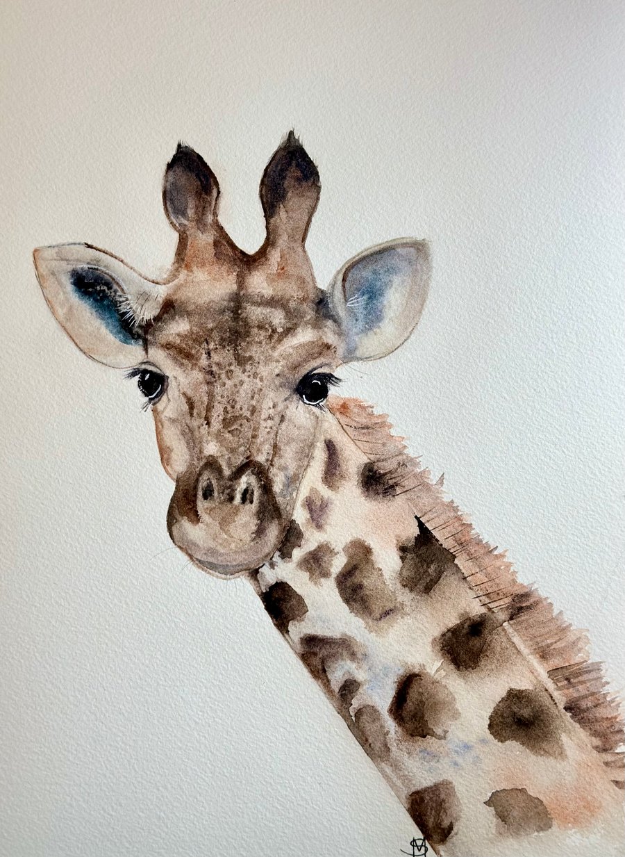 Gordon the giraffe watercolour painting 