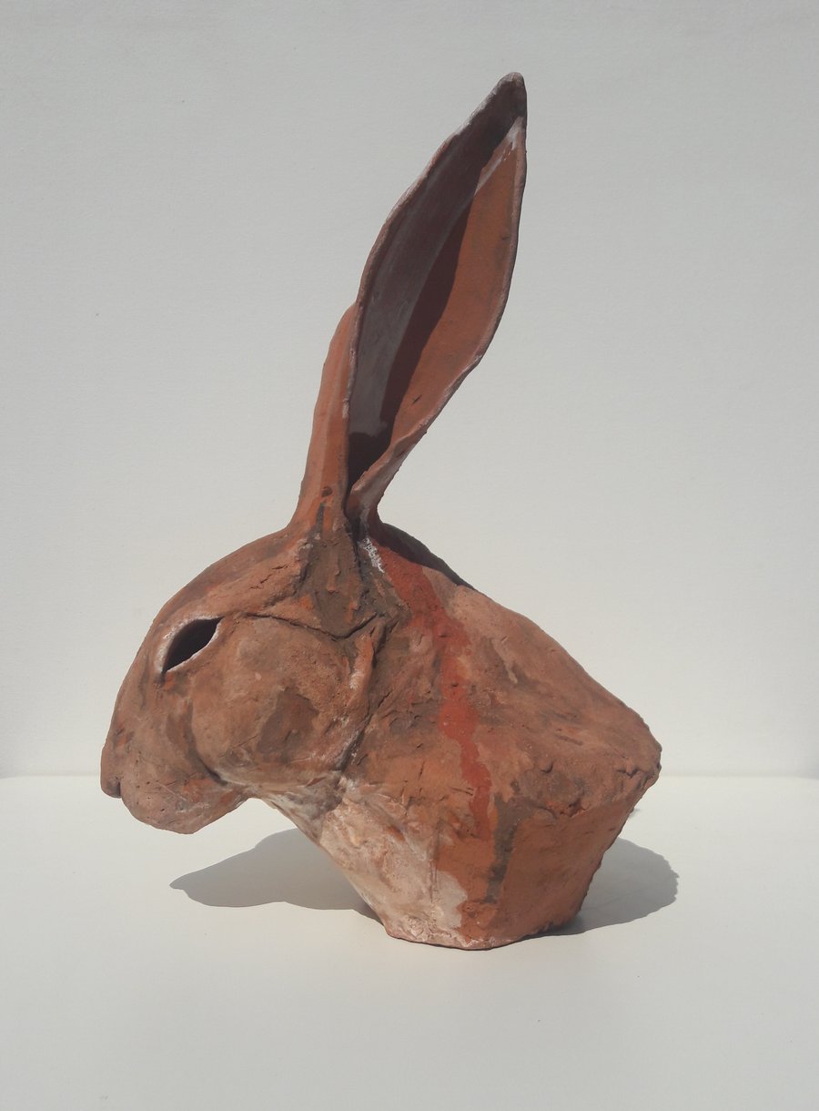 Seasonal hare 2