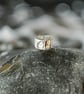 Sterling Silver Organic Ring - Image 4