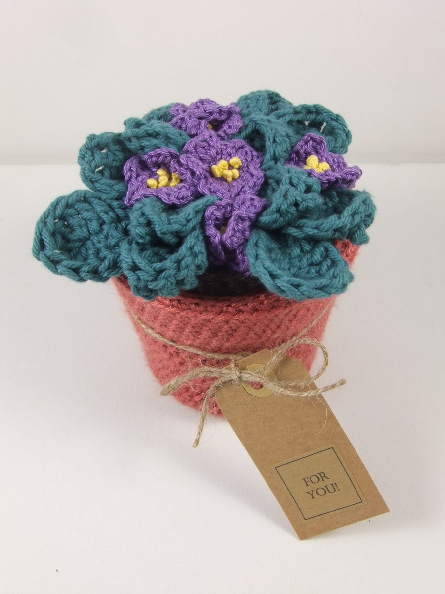 African Violet Keepsake Gift Box