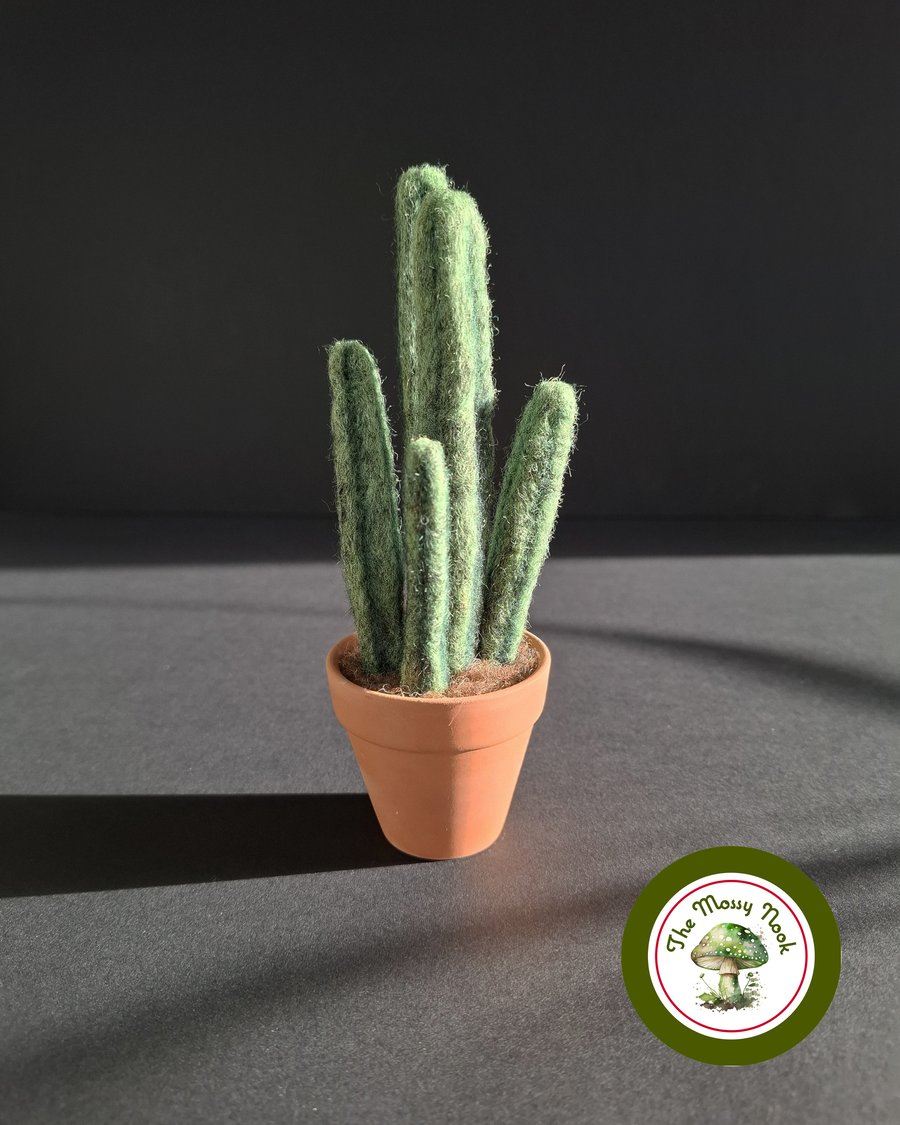 Handmade Succulent Plant. Needle Felted with Wool Fibres. Real Terracotta Pot.