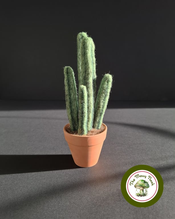 Handmade Succulent Plant. Needle Felted with Wool Fibres. Real Terracotta Pot.