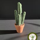Handmade Succulent Plant. Needle Felted with Wool Fibres. Real Terracotta Pot.