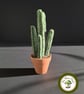 Handmade Succulent Plant. Needle Felted with Wool Fibres. Real Terracotta Pot.