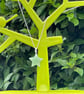 AVENTURINE NECKLACE green star disco cool retro - Image 5