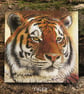 The Tiger- Greetings Card - Image 1