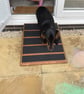 16cm H x 40cms W x 50cms L. Back DoorPatio Ramp, Wide top Non-Slip Ramp - Image 3
