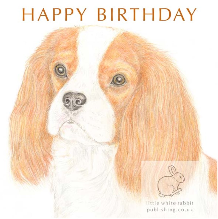 Maisie the Cavalier - Birthday Card