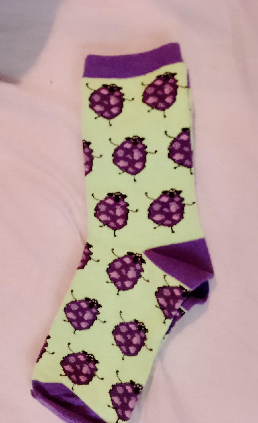 Quirky Sheep Pale Green and Purple Cotton Socks, Ladies size 4 to 8