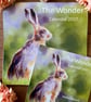 2027 Nature Art Calendar - LARGE wall calendar, wildlife illustrations - Image 1