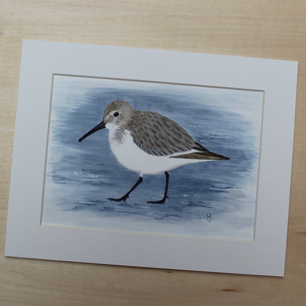 Dunlin