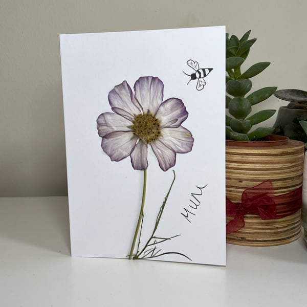 Handmade Real Pressed Flower, Greeting Card, Cosmos, Mother's Day, Birthday