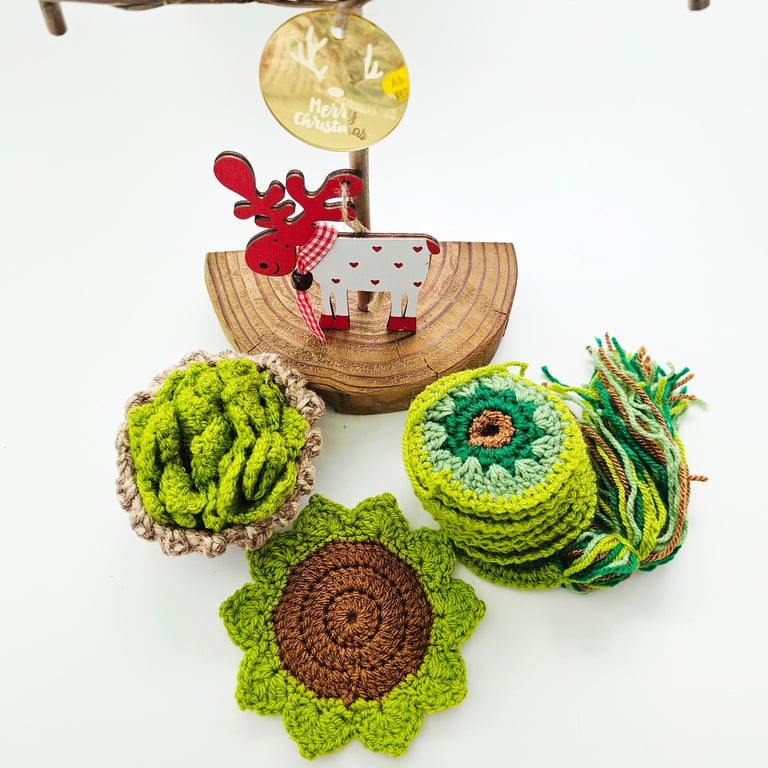 Succulent Gift Set, Coasters and Wind Spinner