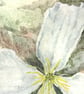 Clematis- Original Watercolour - Image 6