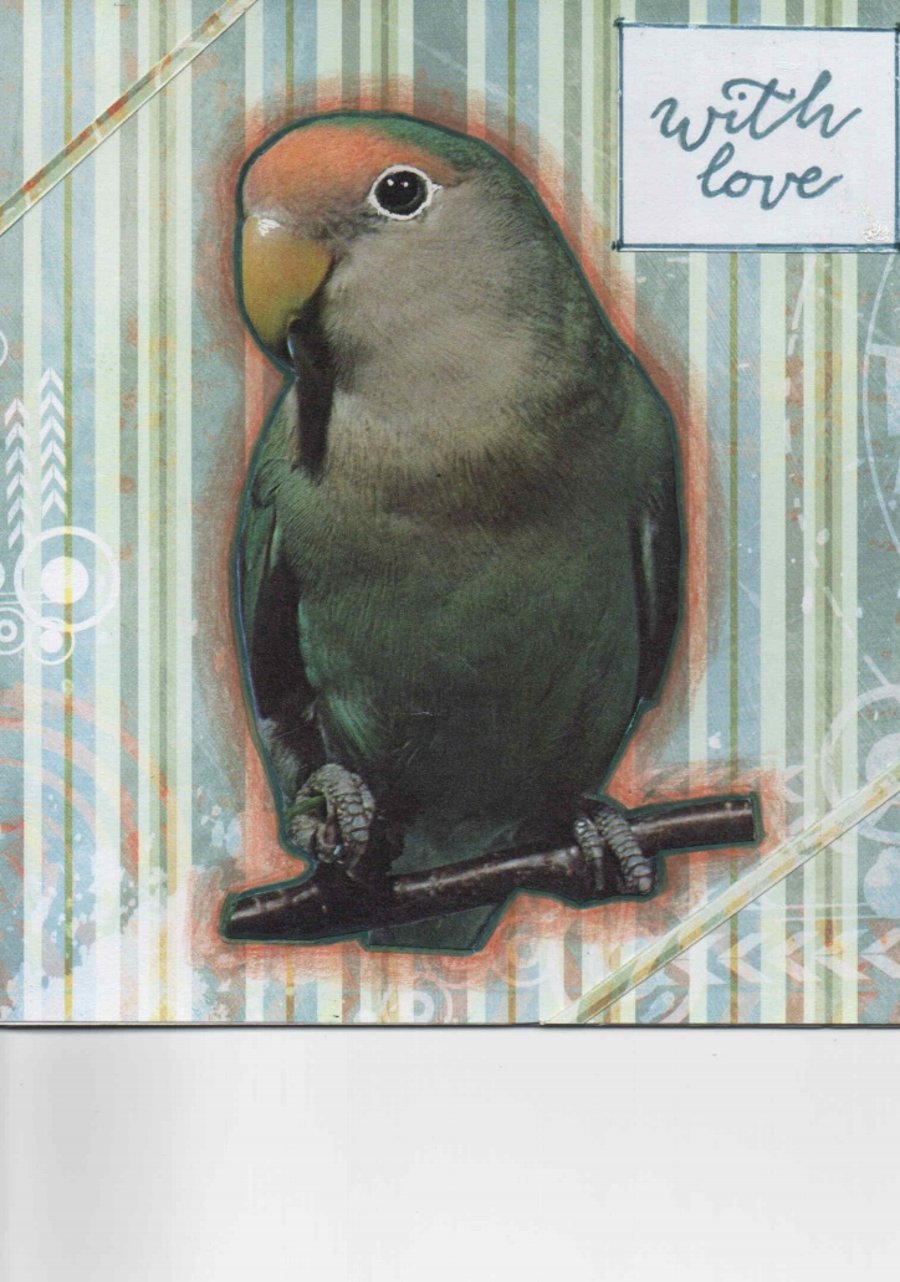 A 05 With love - Love bird 