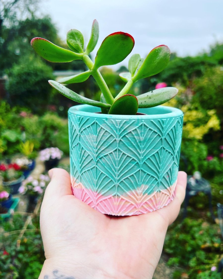 Indoor Plant Pot Eco-Friendly