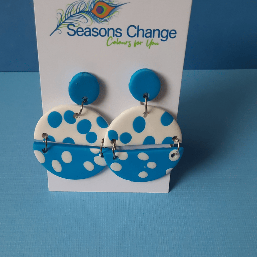 Bluebird (Winter or Spring)