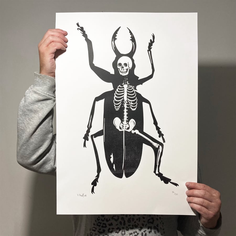 Screen Printed Insect Poster - 'Metamorphosis'