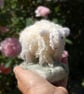 Needle Felt curly fleece Sheep,  wool Sheep, Sheep ornament,  - Image 2
