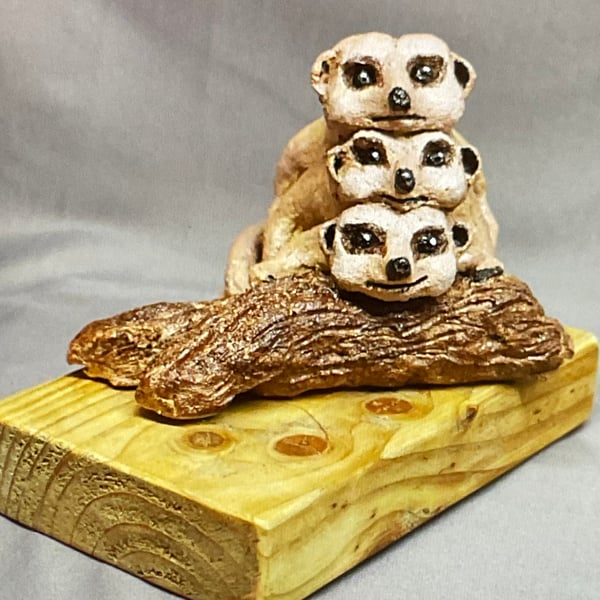 3 Meerkats hugging at a log