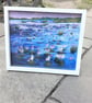 Original Lake Painting, Waterlily Pond, Ready Framed, Acrylics on Canvas Board - Image 9