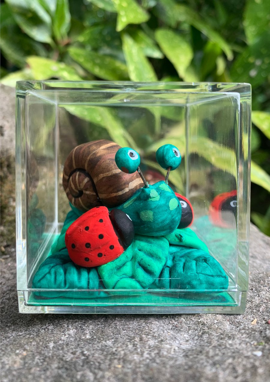 Love Bugs Ladybirds and Snail 