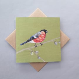 Garden bird card, Bullfinch card, blank cards, bird lover, bird watching