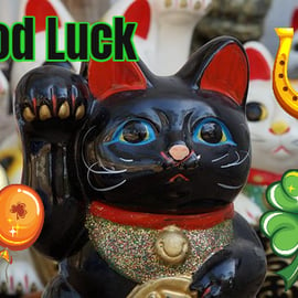 Good Luck Lucky Cat Card A5