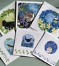 Big Bird Bundle - Image 1